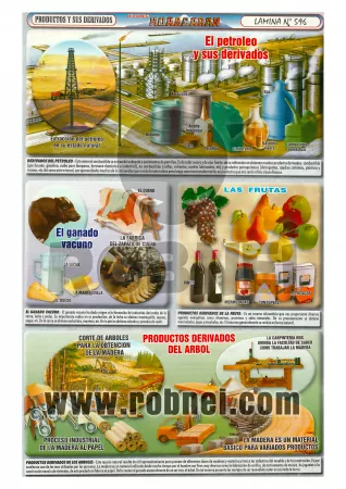 Productos Y Sus Derivados